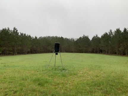 Land in Crenshaw County, Alabama