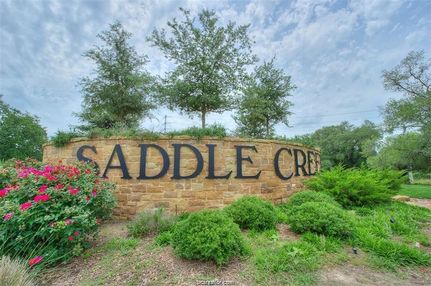 Undeveloped Land in Brazos County, Texas