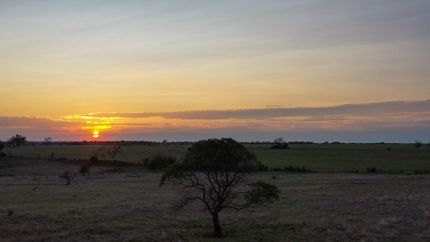 Hunting Property in Coryell County, Texas