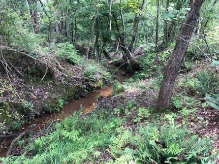 Land in Cass County, Texas
