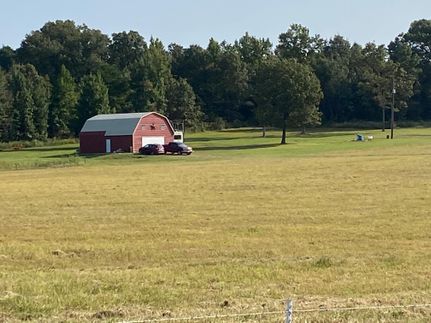 Timberland Property in Marion County, Texas
