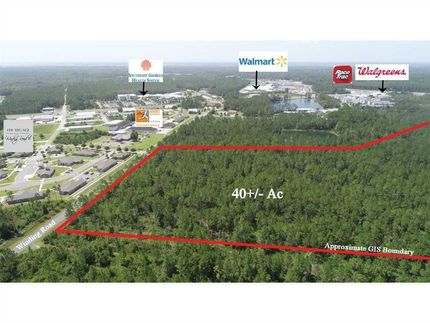 Undeveloped Land in Camden County, Georgia