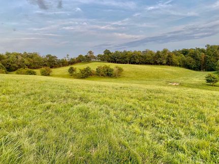 Timberland Property in Adair County, Kentucky