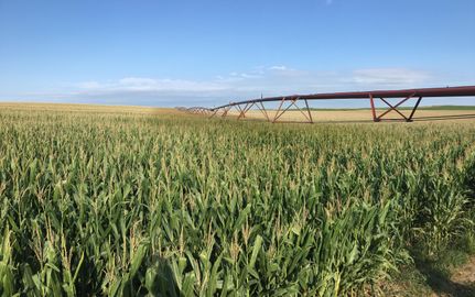Undeveloped Land in Custer County, Nebraska