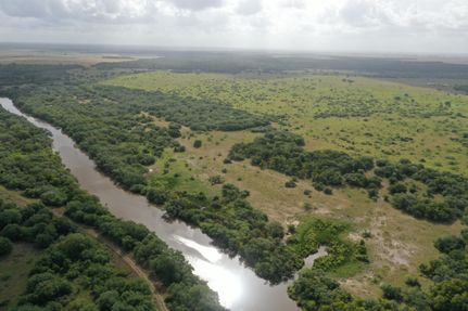 Undeveloped Land in Jackson County, Texas
