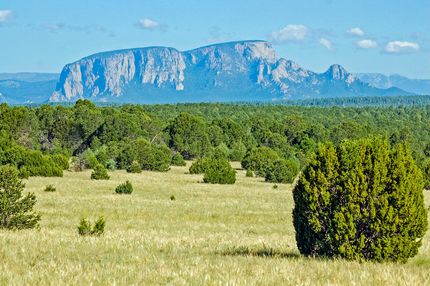 Farm and Ranch in San Miguel County, New Mexico
