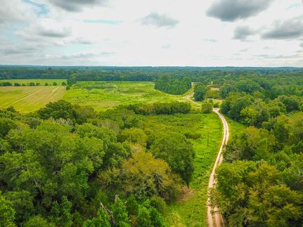 Timberland Property in Smith County, Texas
