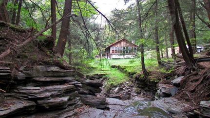 Timberland Property in Cortland County, New York