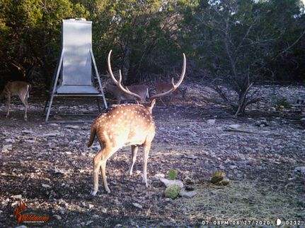 Farm and Ranch in Edwards County, Texas