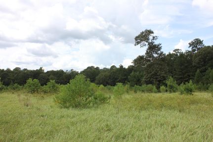 Recreational Property in Angelina County, Texas
