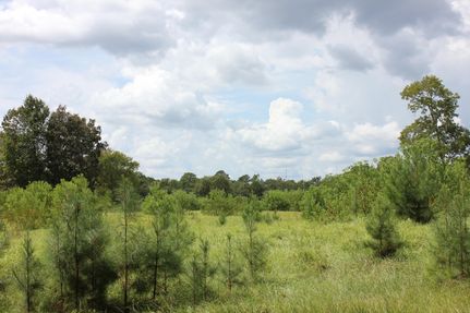 Land in Angelina County, Texas