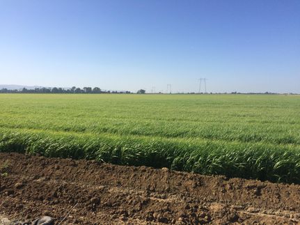 Farm and Ranch in Solano County, California