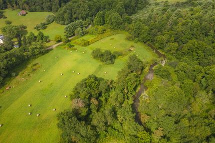 Undeveloped Land in Floyd County, Virginia
