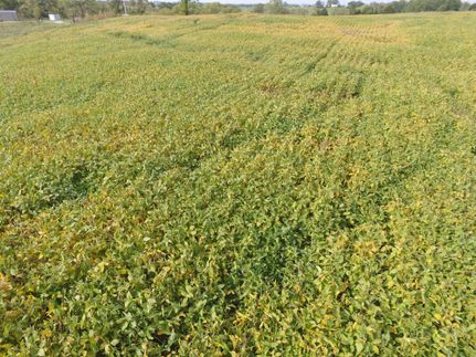 Hunting Property in Schuyler County, Missouri