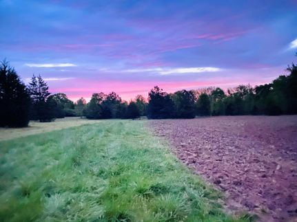 Timberland Property in Greenville County, South Carolina