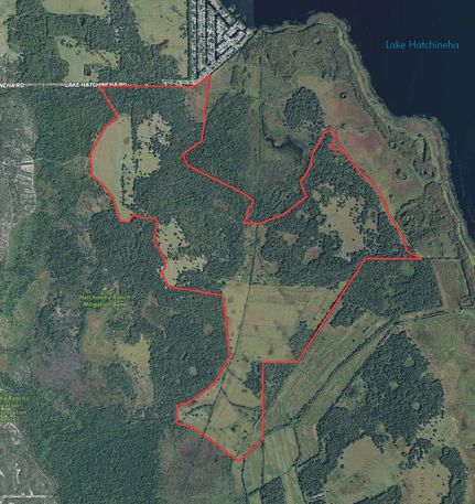 Undeveloped Land in Polk County, Florida