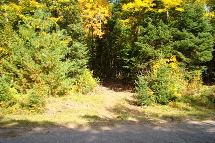 Undeveloped Land in Langlade County, Wisconsin