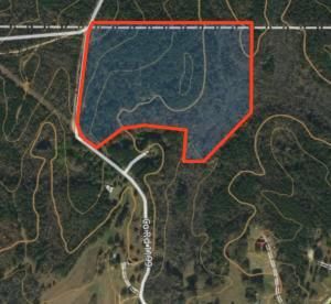 Timberland Property in Prentiss County, Mississippi
