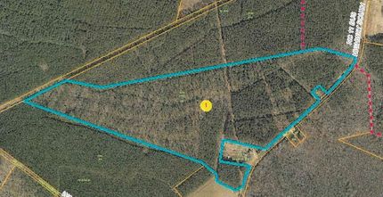 Timberland Property in Bertie County, North Carolina