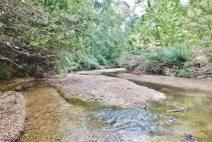 Timberland Property in Wilkinson County, Mississippi