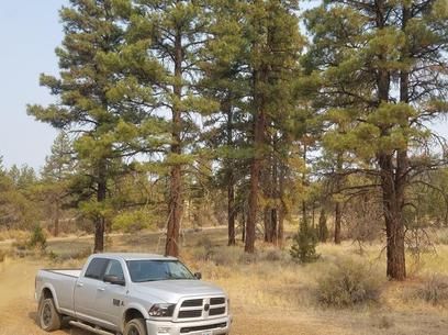 Undeveloped Land in Klamath County, Oregon