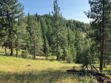 Hunting Property in Grant County, Oregon