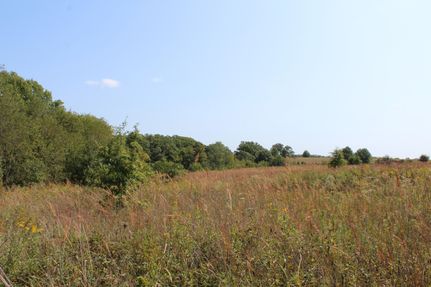Farm and Ranch in Monroe County, Missouri