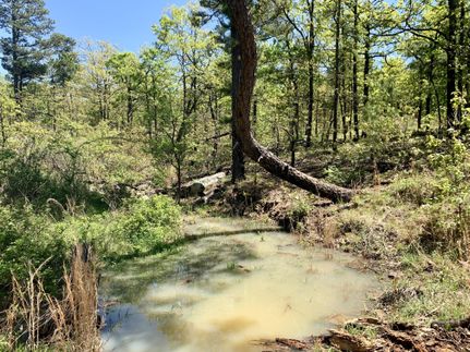 Timberland Property in Pittsburg County, Oklahoma