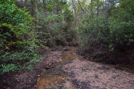 Undeveloped Land in Leon County, Texas