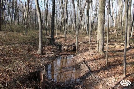 Undeveloped Land in Frederick County, Virginia