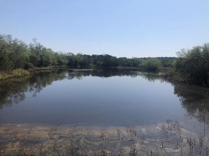 Farm and Ranch in Coke County, Texas