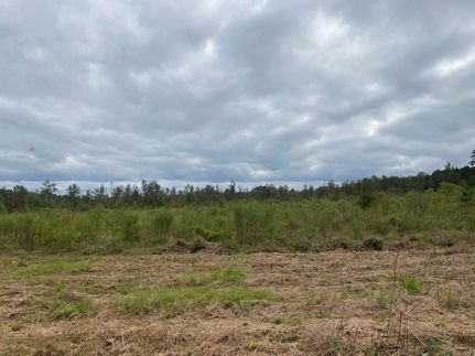 Farm and Ranch in Crenshaw County, Alabama