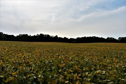 Recreational Property in Marshall County, Indiana