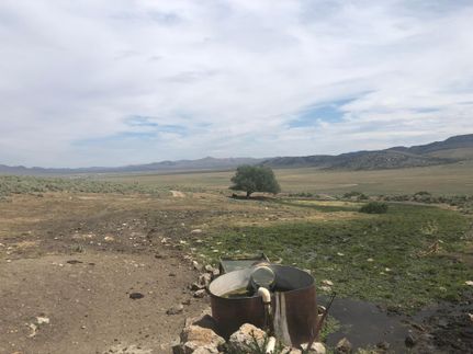 Farm and Ranch in Elko County, Nevada