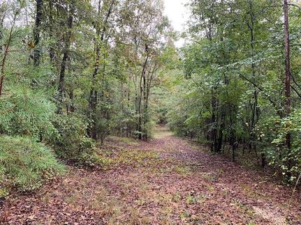 Farm and Ranch in Madison County, Georgia