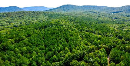 Farm and Ranch in Gilmer County, Georgia