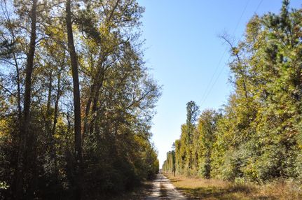 Farm and Ranch in Hardin County, Texas