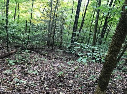 Hunting Property in Hancock County, Tennessee