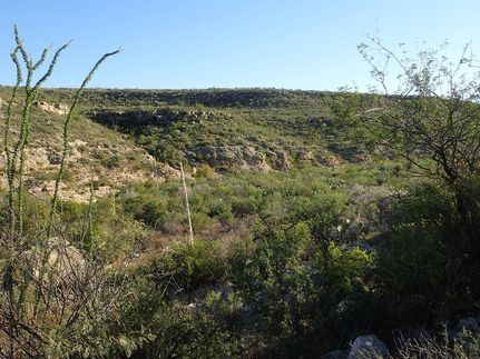 Farm and Ranch in Terrell County, Texas