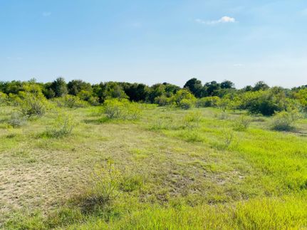 Timberland Property in Caldwell County, Texas
