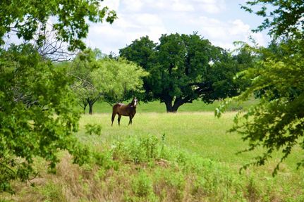 Farm and Ranch in Young County, Texas