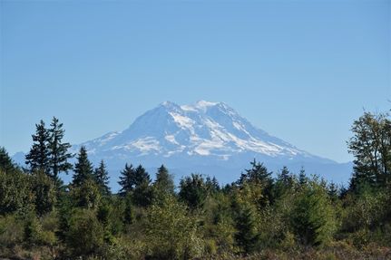 Timberland Property in Thurston County, Washington