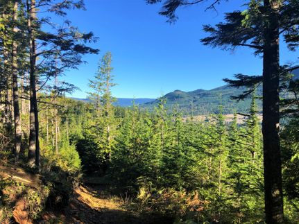 Timberland Property in King County, Washington
