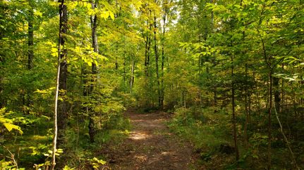 Recreational Property in Langlade County, Wisconsin