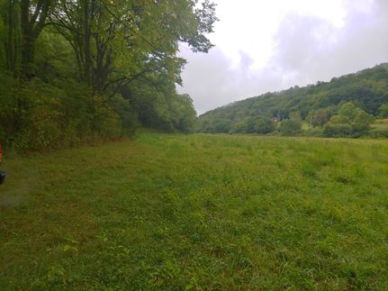 Undeveloped Land in Grayson County, Virginia