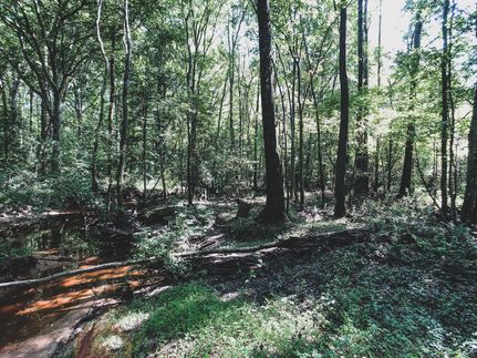 Land in Nash County, North Carolina