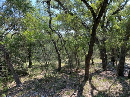 Farm and Ranch for sale in Edwards County, Texas