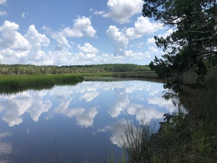 Farm and Ranch in Glynn County, Georgia