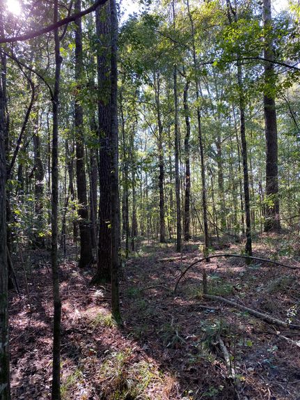 Farm and Ranch in Covington County, Mississippi