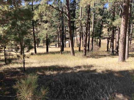 Farm and Ranch in Custer County, South Dakota